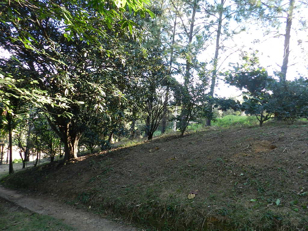 Chácara no Jardim Flamboyant em Amparo - Foto 22